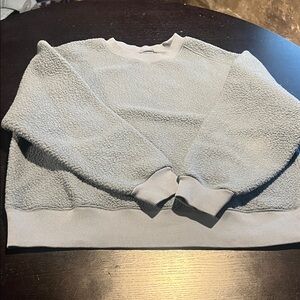 EVERLANE teddy bear sweatshirt. Size L. Good used condition.